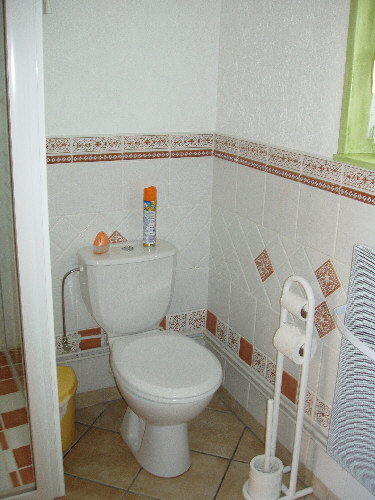 WC- 500p.jpg